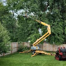 Best Commercial Tree Services  in Sterlington, LA